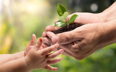 Respect de l’environnement