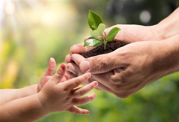 Respect de l’environnement