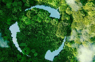 NOUVEAUTÉ Révolutionnaire : Films PVC Bio-Sourcés – L’Avenir du Durable !